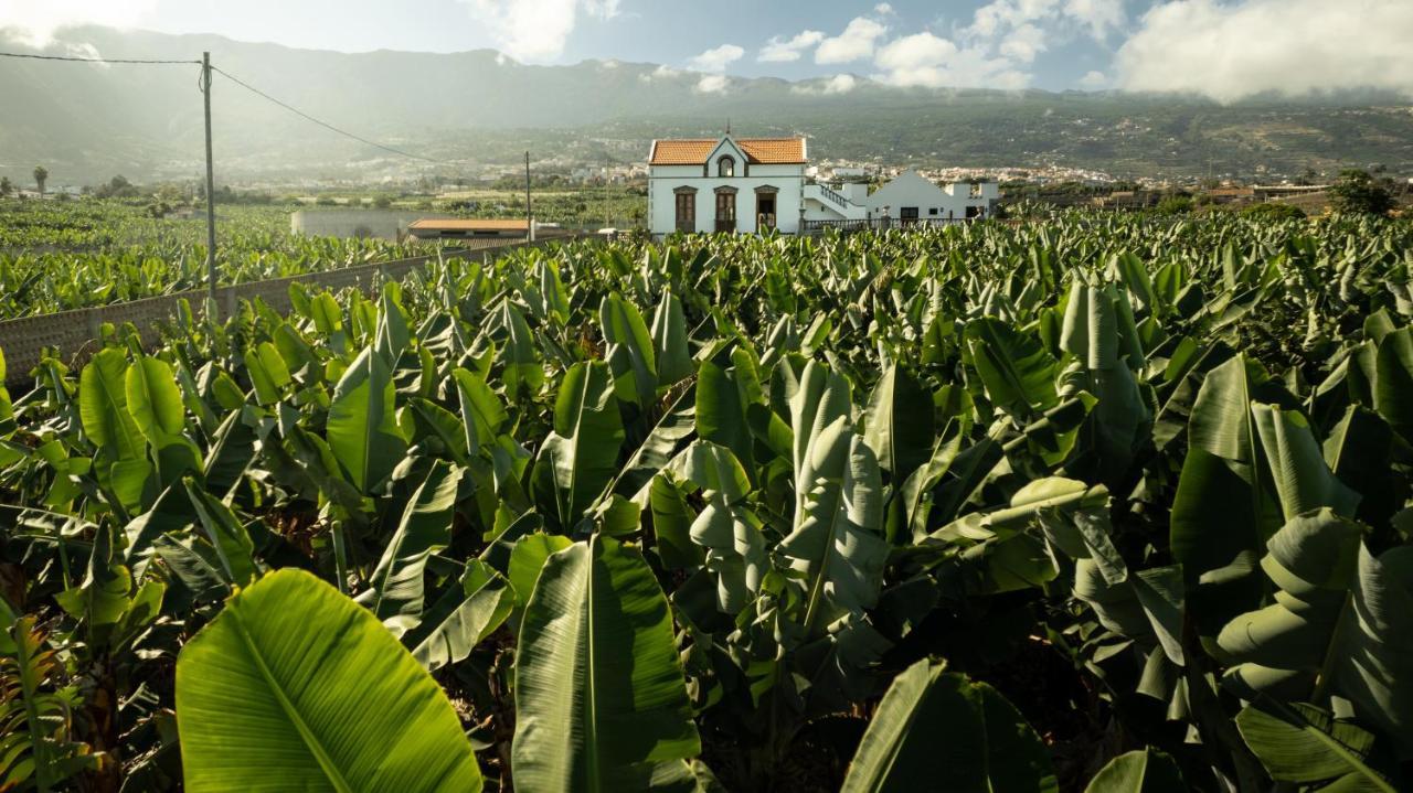 Hacienda Los Orovales ปูแอร์โตเดลาครูซ ภายนอก รูปภาพ