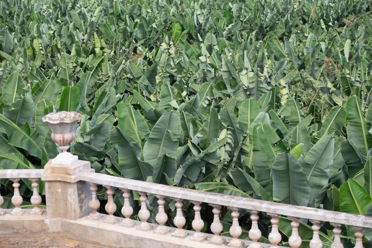 Hacienda Los Orovales ปูแอร์โตเดลาครูซ ภายนอก รูปภาพ